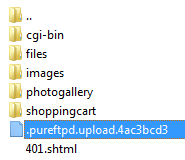 What is a pureftpd upload file
