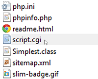 where do I put cgi scripts